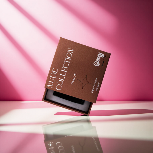 Sasha's Beginner Kit