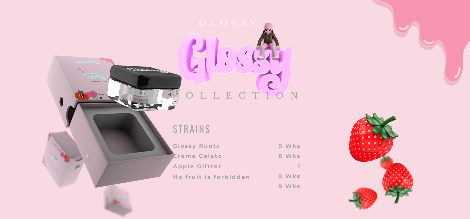 Glossy Collection