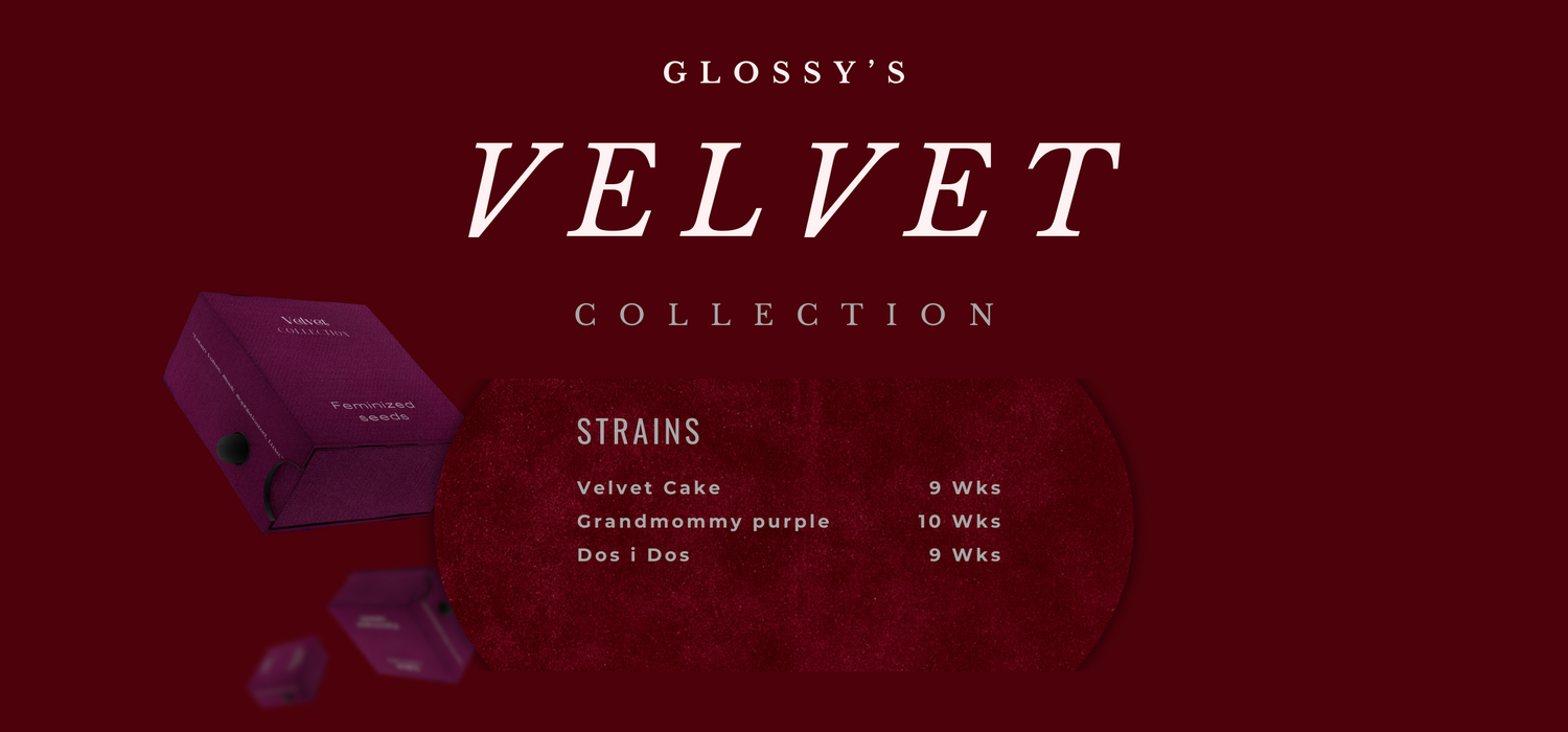Velvet Collection