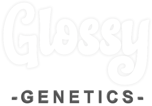 Glossy Genetics