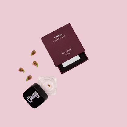 Baddie Kit